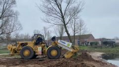 De 24 bomen zijn verplaatst
